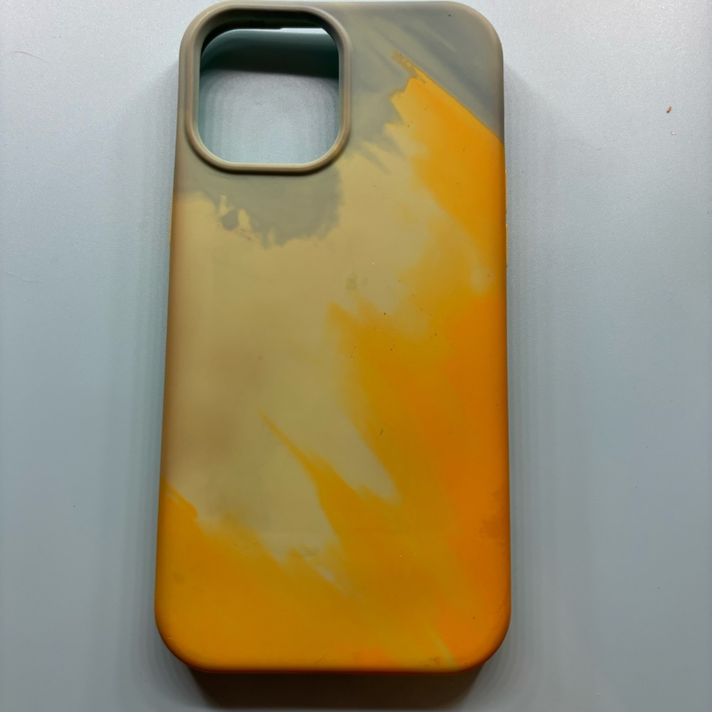 iPhone 12 Pro Max otterbox case